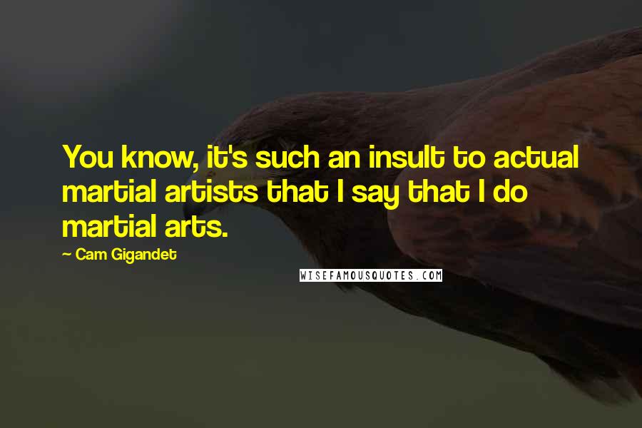 Cam Gigandet Quotes: You know, it's such an insult to actual martial artists that I say that I do martial arts.