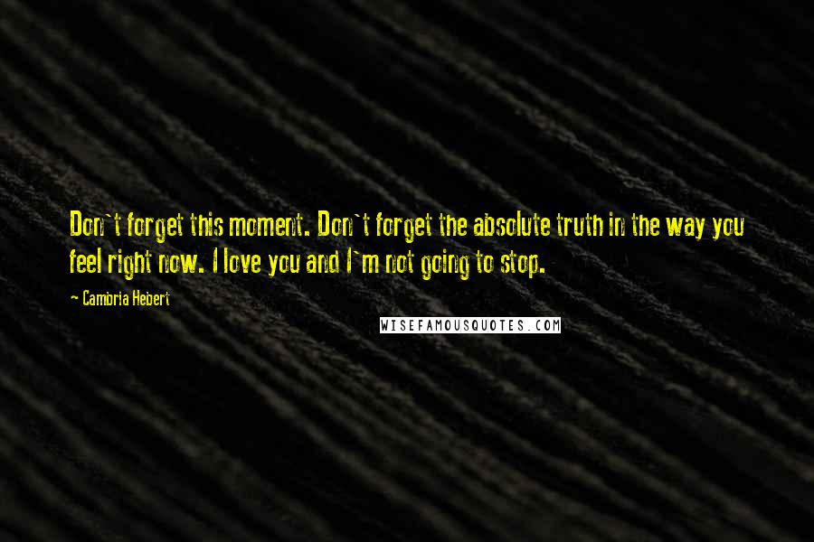 Cambria Hebert Quotes: Don't forget this moment. Don't forget the absolute truth in the way you feel right now. I love you and I'm not going to stop.