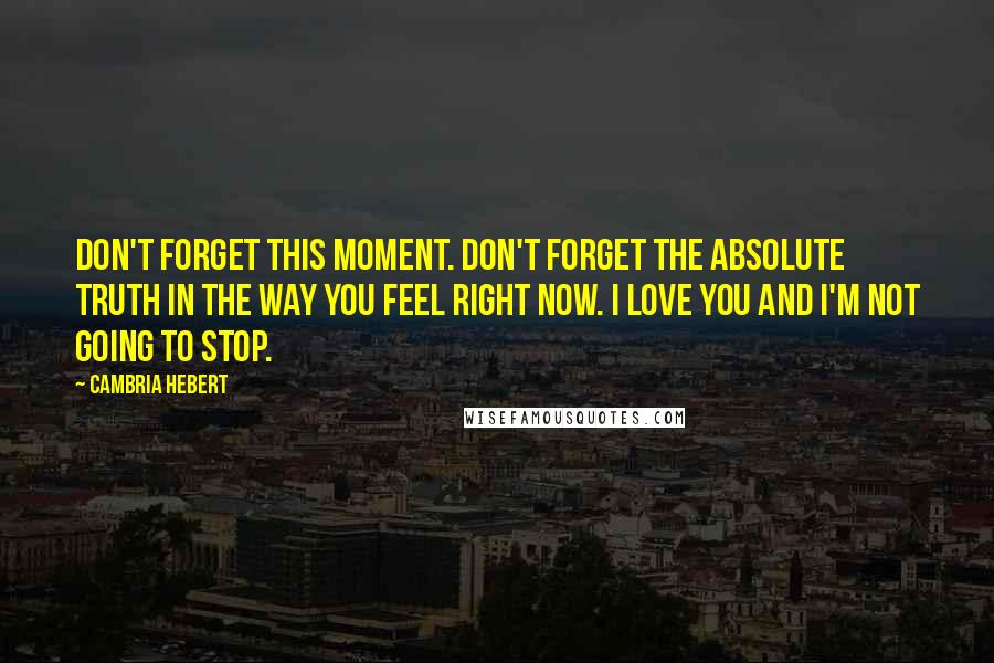 Cambria Hebert Quotes: Don't forget this moment. Don't forget the absolute truth in the way you feel right now. I love you and I'm not going to stop.