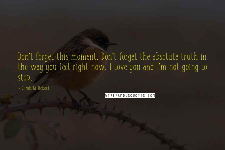 Cambria Hebert Quotes: Don't forget this moment. Don't forget the absolute truth in the way you feel right now. I love you and I'm not going to stop.