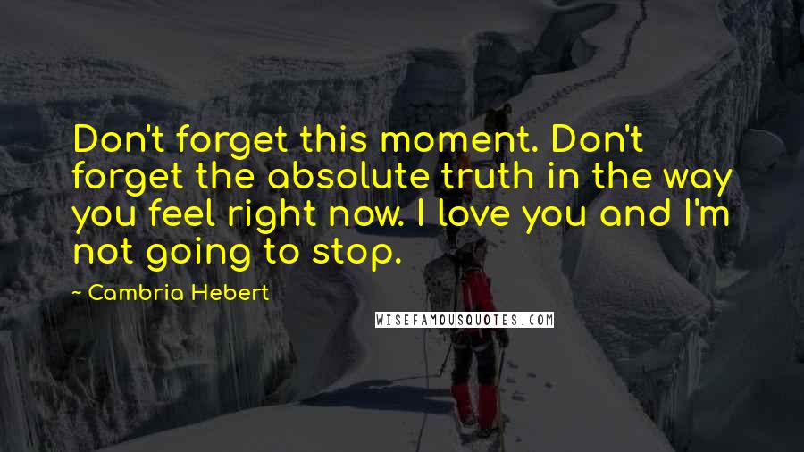 Cambria Hebert Quotes: Don't forget this moment. Don't forget the absolute truth in the way you feel right now. I love you and I'm not going to stop.