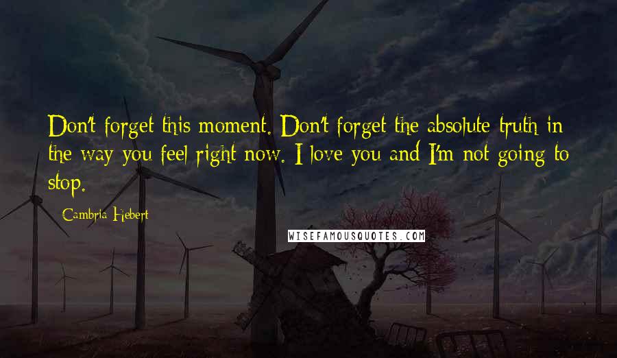 Cambria Hebert Quotes: Don't forget this moment. Don't forget the absolute truth in the way you feel right now. I love you and I'm not going to stop.