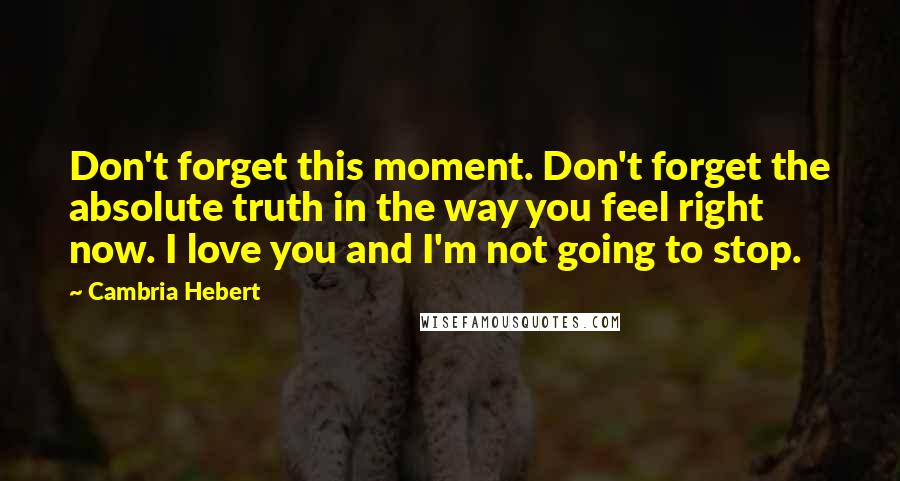 Cambria Hebert Quotes: Don't forget this moment. Don't forget the absolute truth in the way you feel right now. I love you and I'm not going to stop.