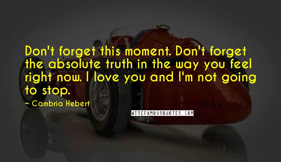 Cambria Hebert Quotes: Don't forget this moment. Don't forget the absolute truth in the way you feel right now. I love you and I'm not going to stop.