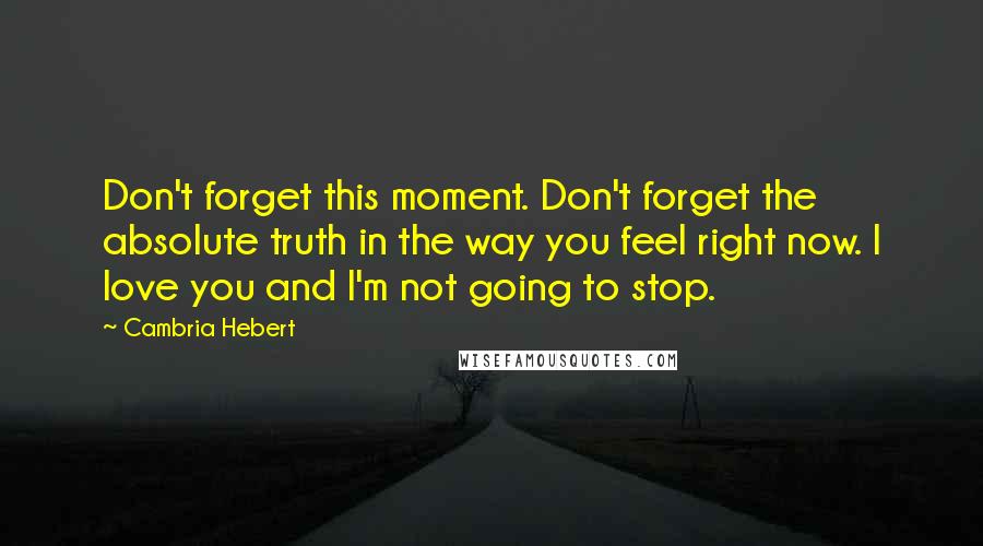 Cambria Hebert Quotes: Don't forget this moment. Don't forget the absolute truth in the way you feel right now. I love you and I'm not going to stop.