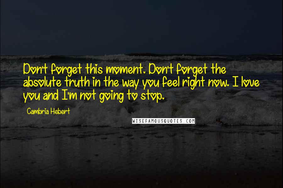 Cambria Hebert Quotes: Don't forget this moment. Don't forget the absolute truth in the way you feel right now. I love you and I'm not going to stop.