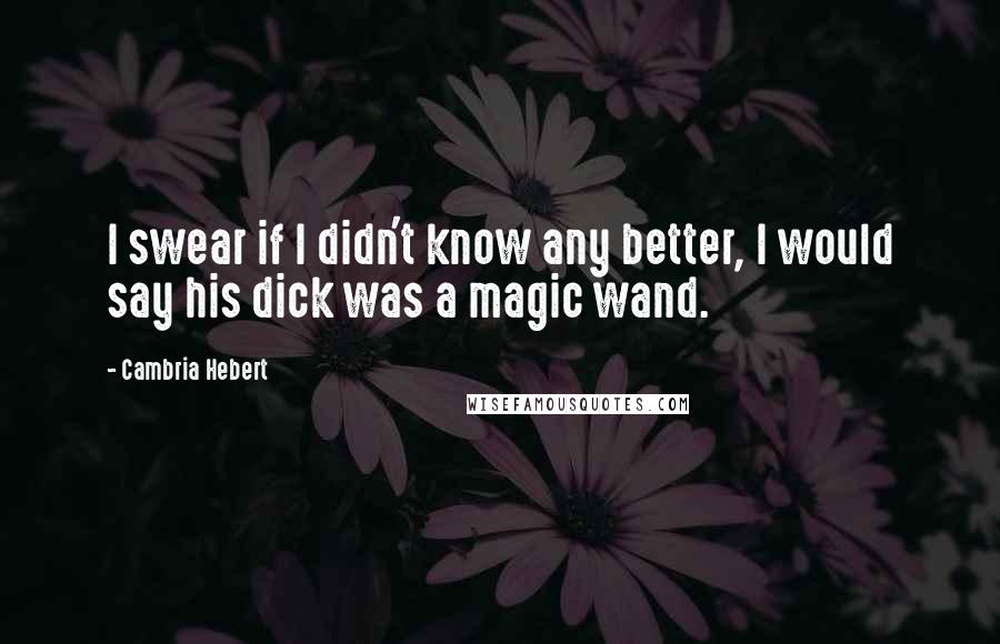 Cambria Hebert Quotes: I swear if I didn't know any better, I would say his dick was a magic wand.