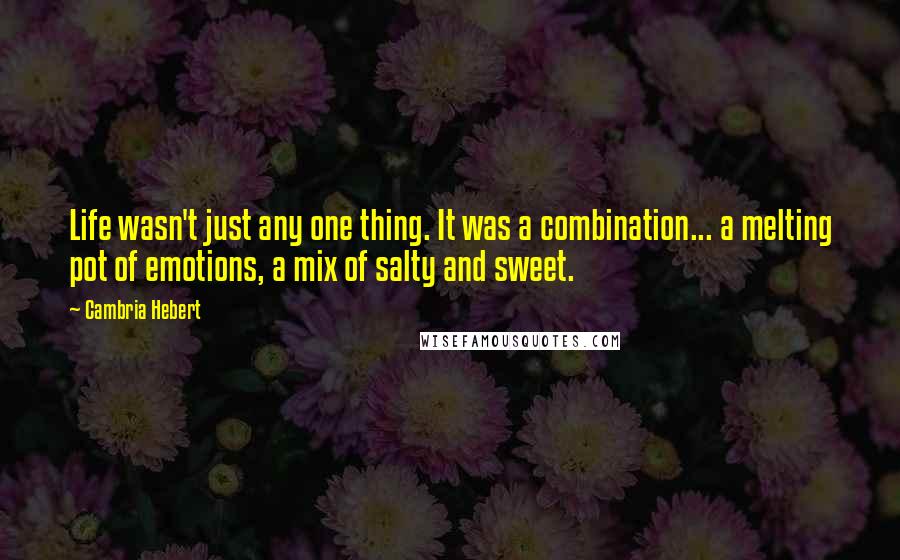 Cambria Hebert Quotes: Life wasn't just any one thing. It was a combination... a melting pot of emotions, a mix of salty and sweet.