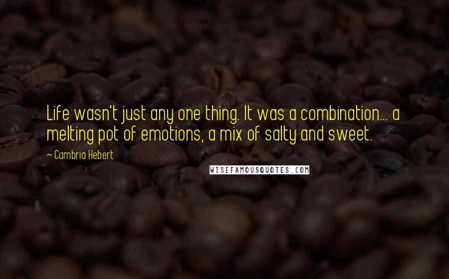 Cambria Hebert Quotes: Life wasn't just any one thing. It was a combination... a melting pot of emotions, a mix of salty and sweet.