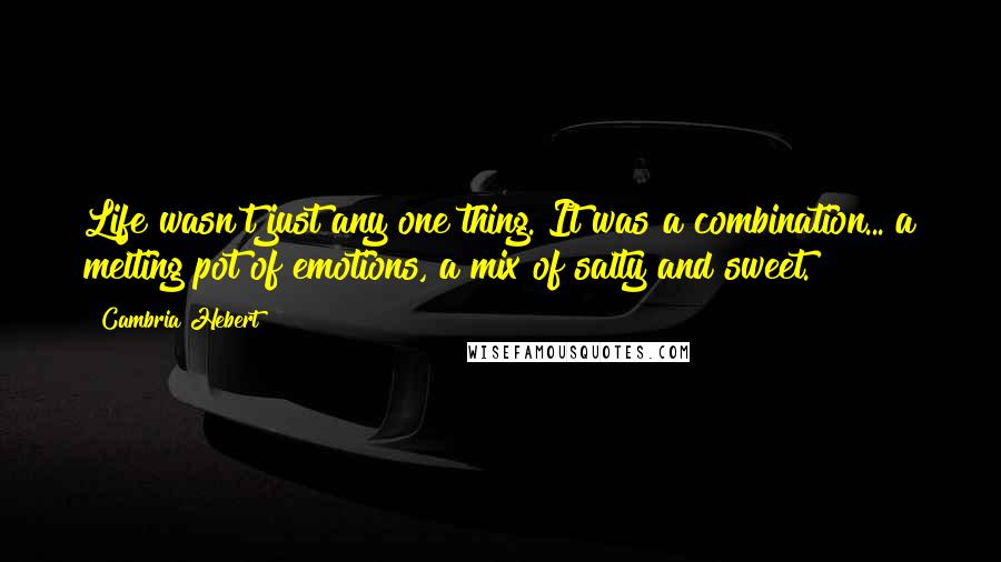 Cambria Hebert Quotes: Life wasn't just any one thing. It was a combination... a melting pot of emotions, a mix of salty and sweet.