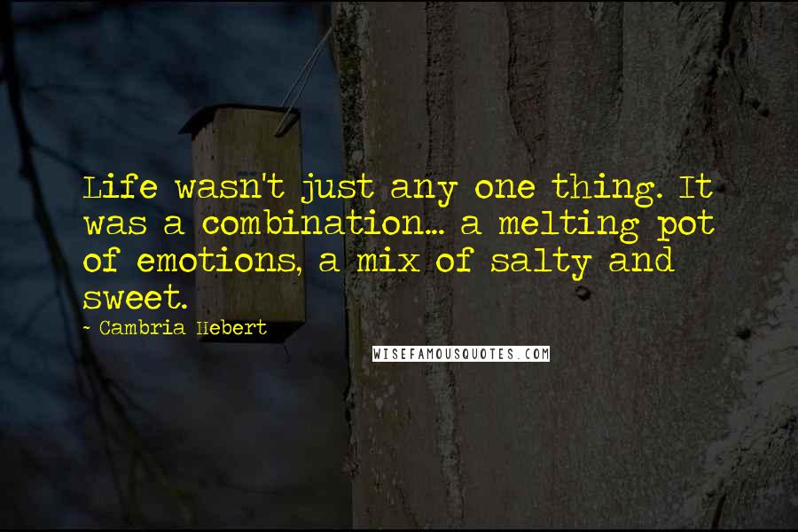 Cambria Hebert Quotes: Life wasn't just any one thing. It was a combination... a melting pot of emotions, a mix of salty and sweet.