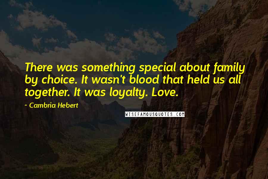 Cambria Hebert Quotes: There was something special about family by choice. It wasn't blood that held us all together. It was loyalty. Love.