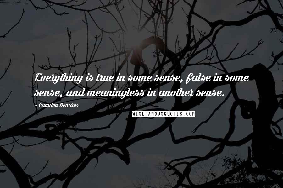Camden Benares Quotes: Everything is true in some sense, false in some sense, and meaningless in another sense.