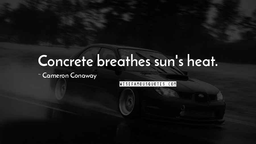 Cameron Conaway Quotes: Concrete breathes sun's heat.