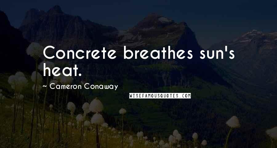 Cameron Conaway Quotes: Concrete breathes sun's heat.