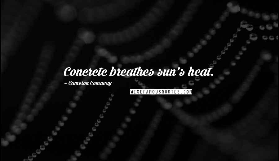 Cameron Conaway Quotes: Concrete breathes sun's heat.