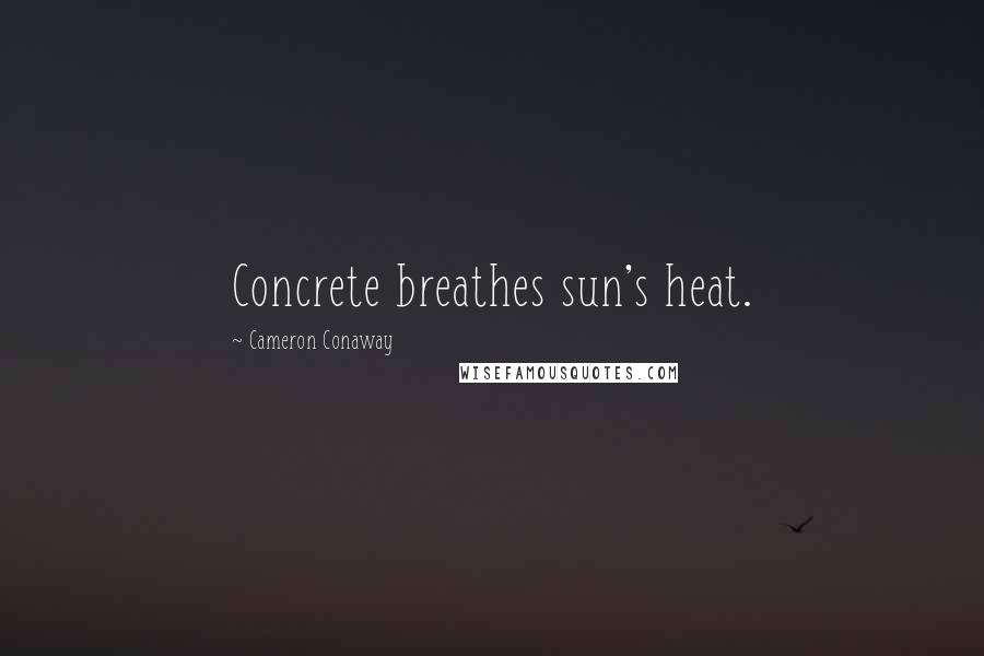 Cameron Conaway Quotes: Concrete breathes sun's heat.