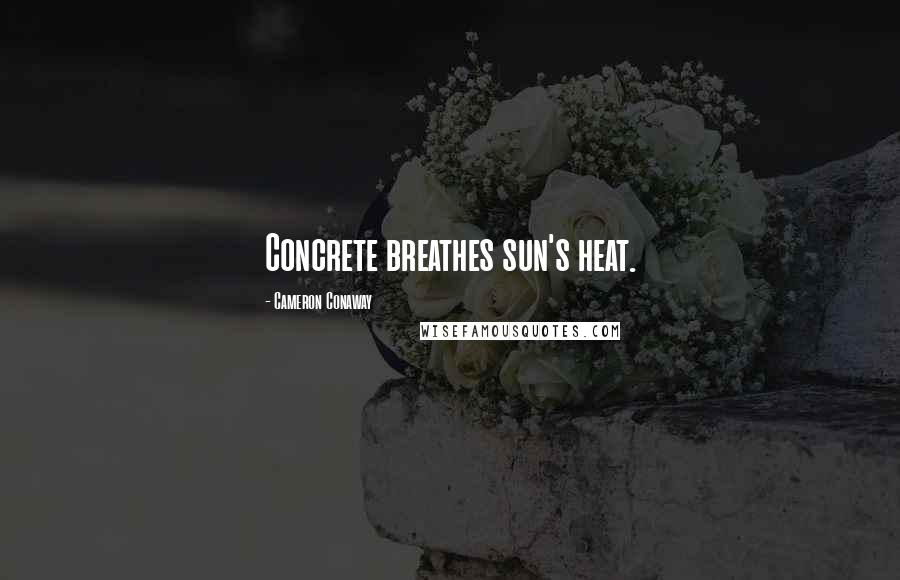 Cameron Conaway Quotes: Concrete breathes sun's heat.