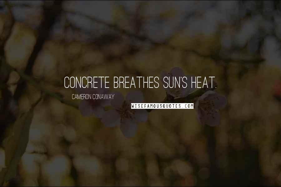 Cameron Conaway Quotes: Concrete breathes sun's heat.