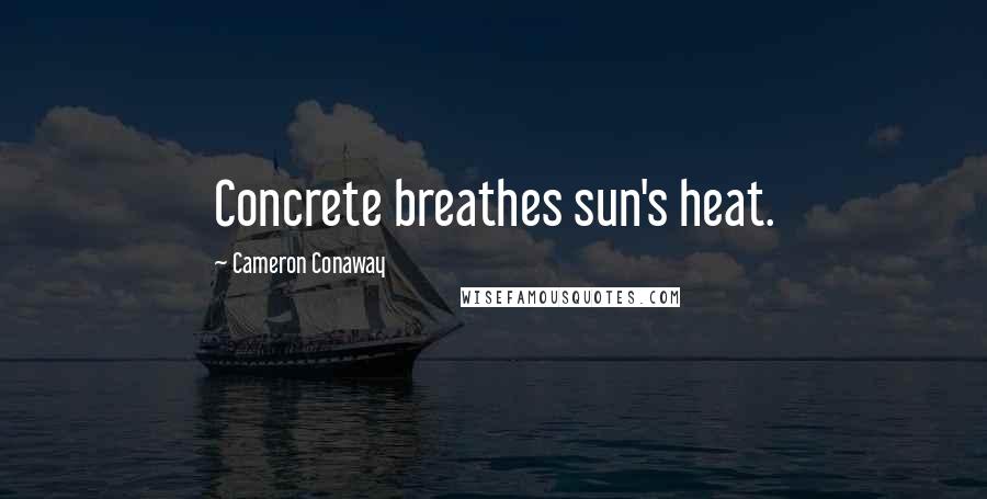 Cameron Conaway Quotes: Concrete breathes sun's heat.