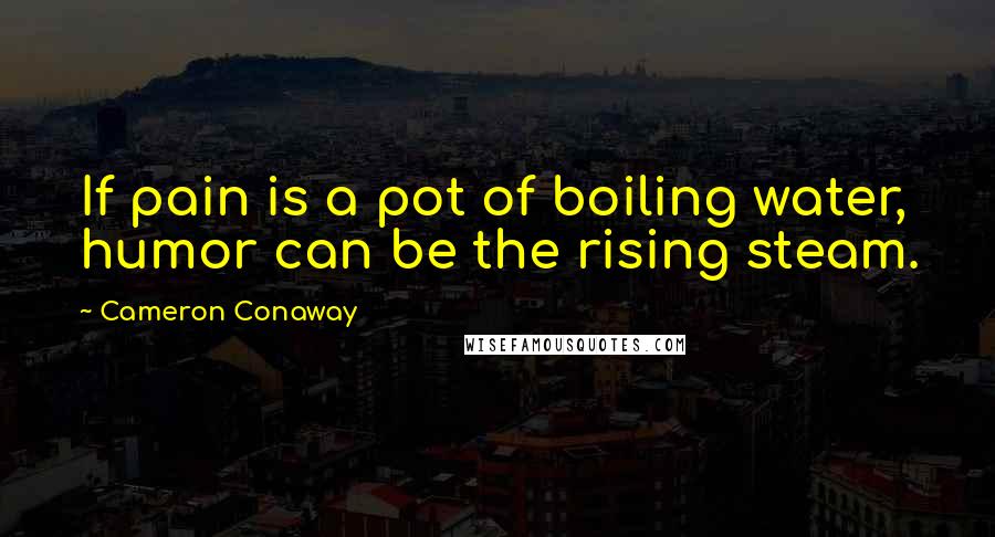 Cameron Conaway Quotes: If pain is a pot of boiling water, humor can be the rising steam.