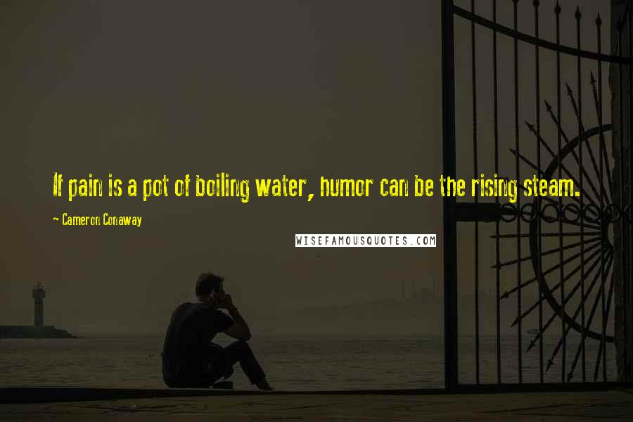 Cameron Conaway Quotes: If pain is a pot of boiling water, humor can be the rising steam.