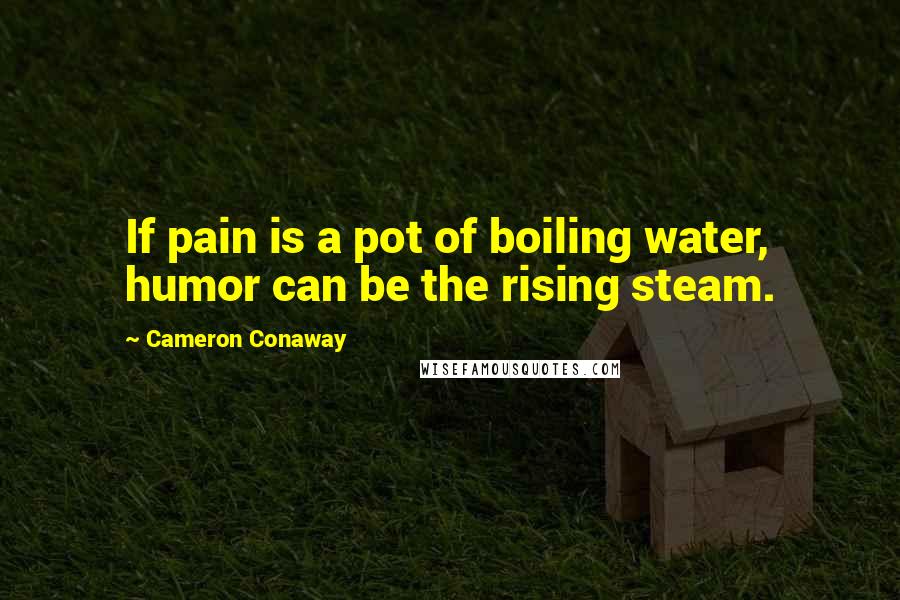 Cameron Conaway Quotes: If pain is a pot of boiling water, humor can be the rising steam.