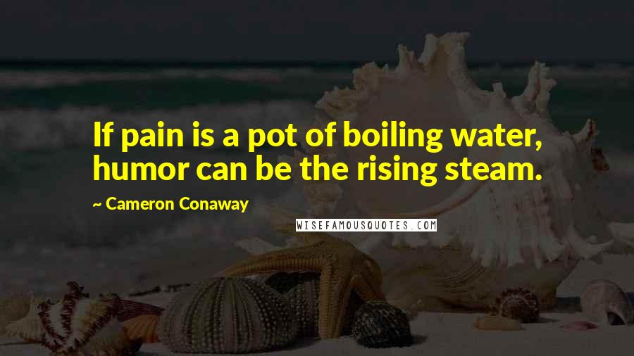 Cameron Conaway Quotes: If pain is a pot of boiling water, humor can be the rising steam.