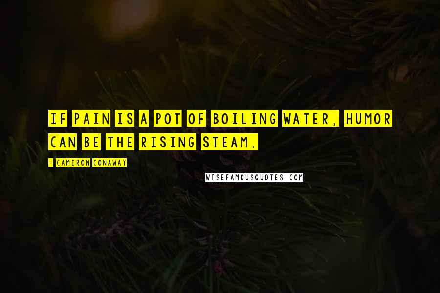 Cameron Conaway Quotes: If pain is a pot of boiling water, humor can be the rising steam.