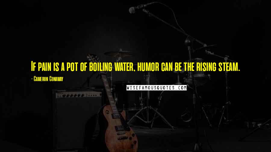 Cameron Conaway Quotes: If pain is a pot of boiling water, humor can be the rising steam.