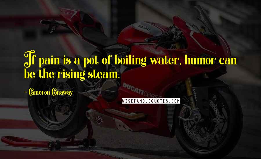 Cameron Conaway Quotes: If pain is a pot of boiling water, humor can be the rising steam.