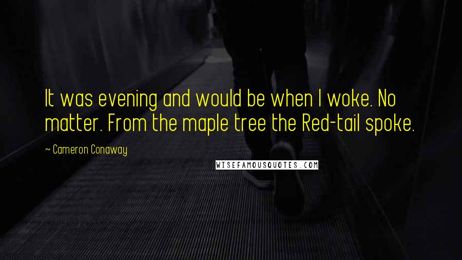 Cameron Conaway Quotes: It was evening and would be when I woke. No matter. From the maple tree the Red-tail spoke.