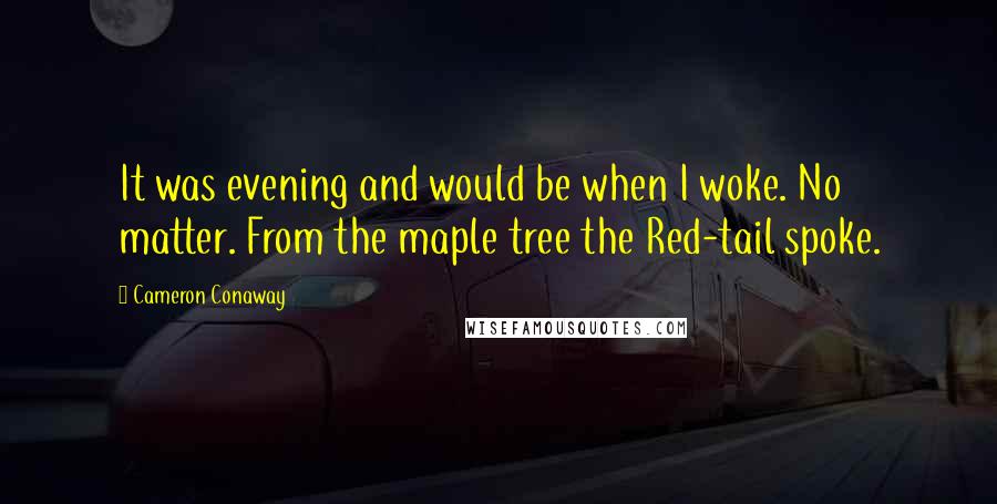 Cameron Conaway Quotes: It was evening and would be when I woke. No matter. From the maple tree the Red-tail spoke.