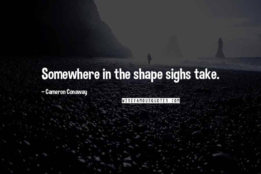 Cameron Conaway Quotes: Somewhere in the shape sighs take.