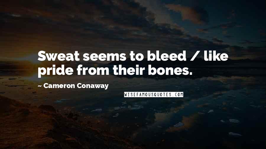Cameron Conaway Quotes: Sweat seems to bleed / like pride from their bones.