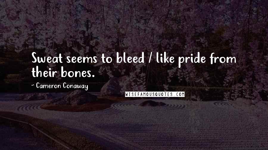 Cameron Conaway Quotes: Sweat seems to bleed / like pride from their bones.