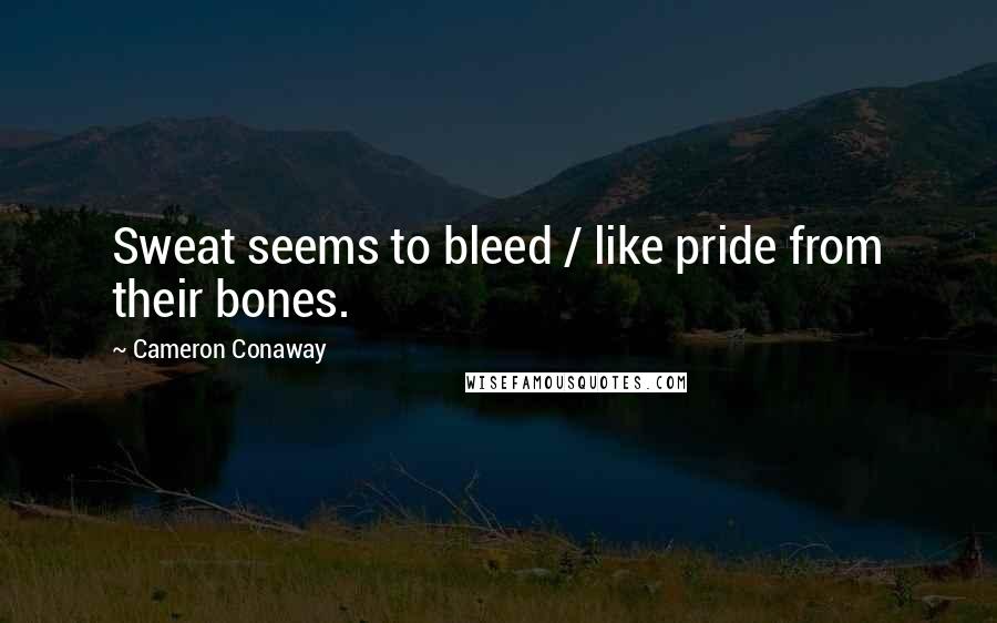 Cameron Conaway Quotes: Sweat seems to bleed / like pride from their bones.