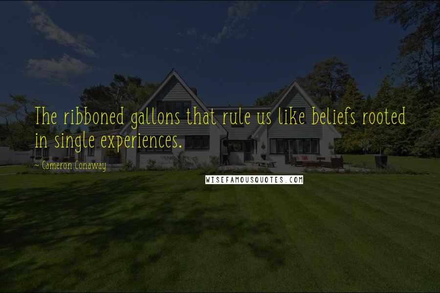 Cameron Conaway Quotes: The ribboned gallons that rule us like beliefs rooted in single experiences.