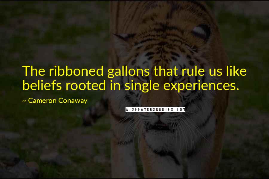 Cameron Conaway Quotes: The ribboned gallons that rule us like beliefs rooted in single experiences.