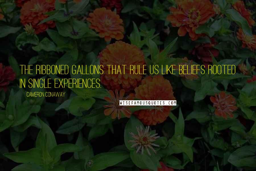 Cameron Conaway Quotes: The ribboned gallons that rule us like beliefs rooted in single experiences.