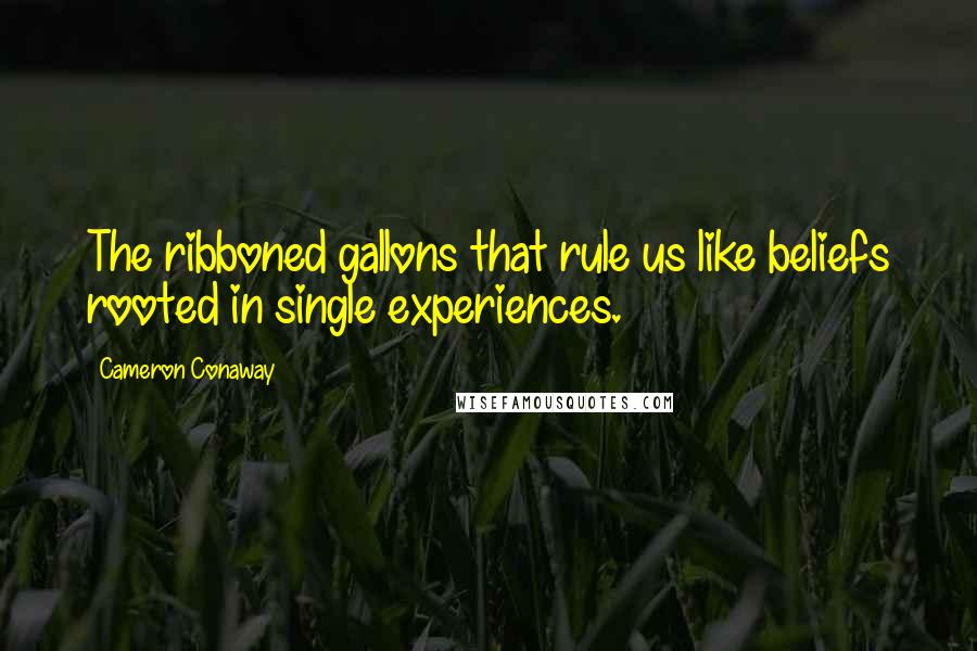 Cameron Conaway Quotes: The ribboned gallons that rule us like beliefs rooted in single experiences.