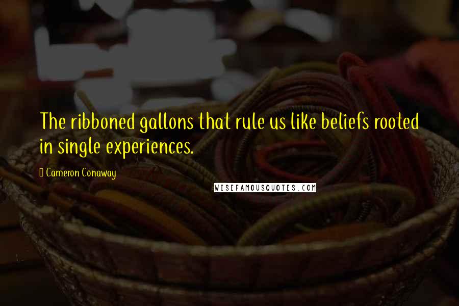 Cameron Conaway Quotes: The ribboned gallons that rule us like beliefs rooted in single experiences.