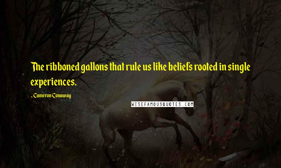 Cameron Conaway Quotes: The ribboned gallons that rule us like beliefs rooted in single experiences.