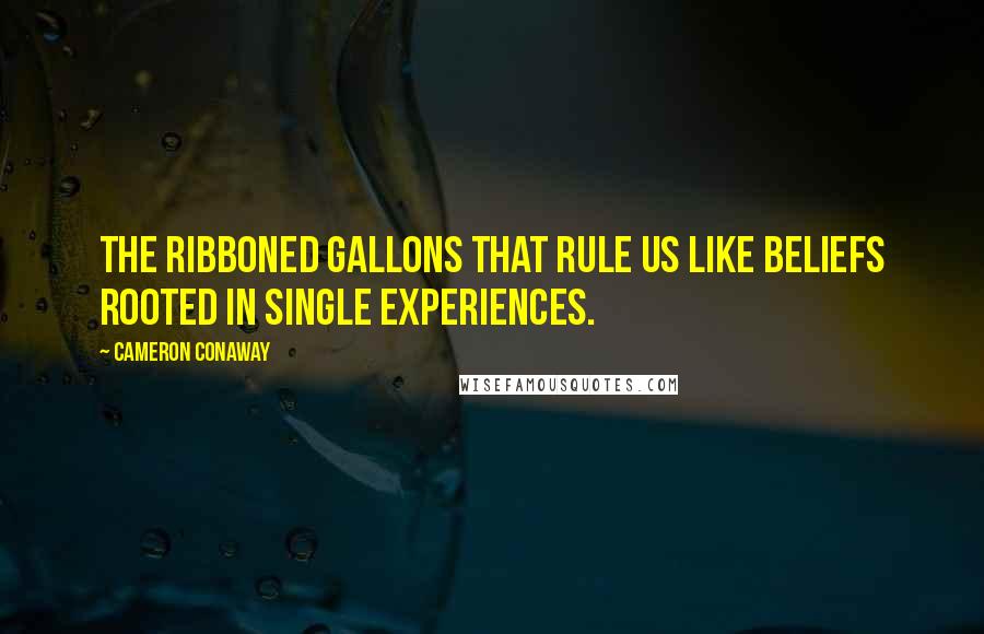 Cameron Conaway Quotes: The ribboned gallons that rule us like beliefs rooted in single experiences.