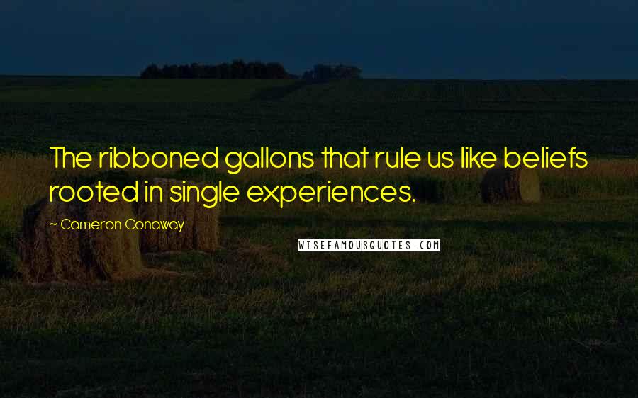 Cameron Conaway Quotes: The ribboned gallons that rule us like beliefs rooted in single experiences.