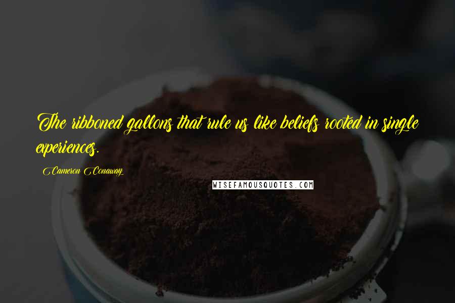 Cameron Conaway Quotes: The ribboned gallons that rule us like beliefs rooted in single experiences.