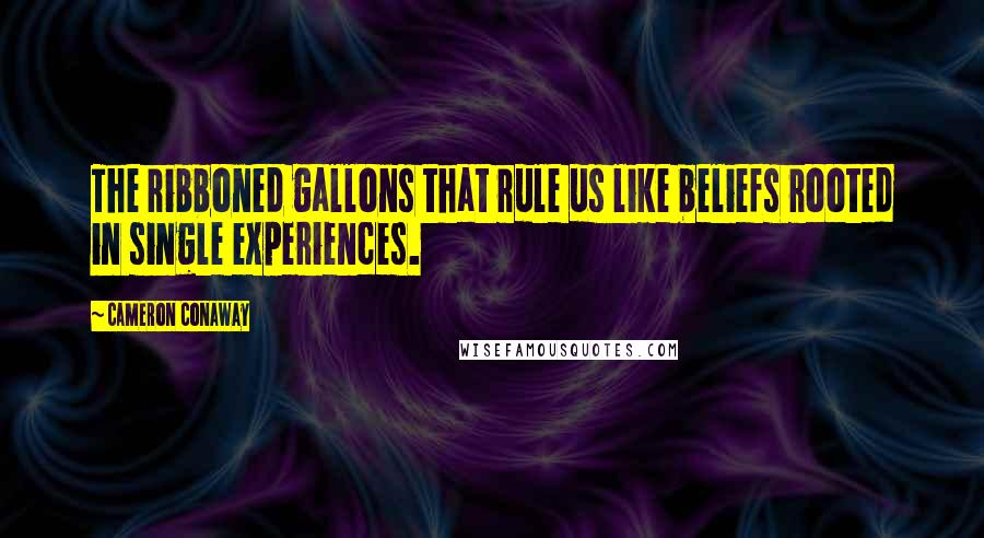 Cameron Conaway Quotes: The ribboned gallons that rule us like beliefs rooted in single experiences.