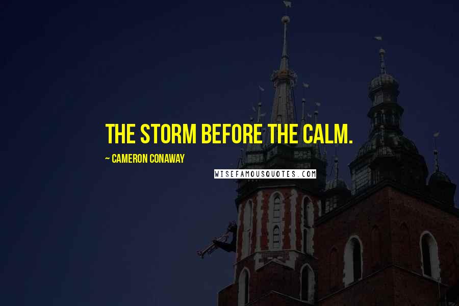 Cameron Conaway Quotes: The storm before the calm.