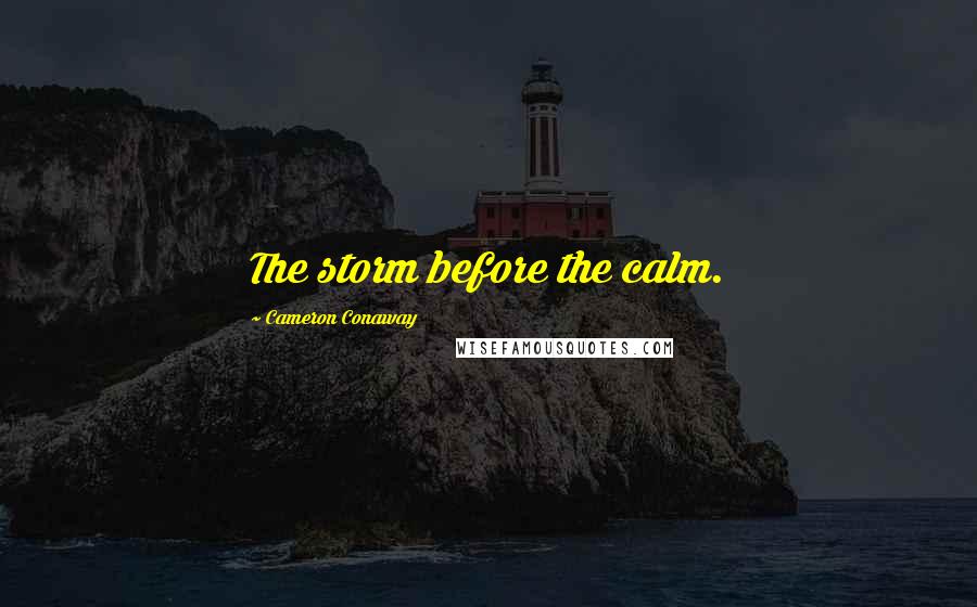 Cameron Conaway Quotes: The storm before the calm.