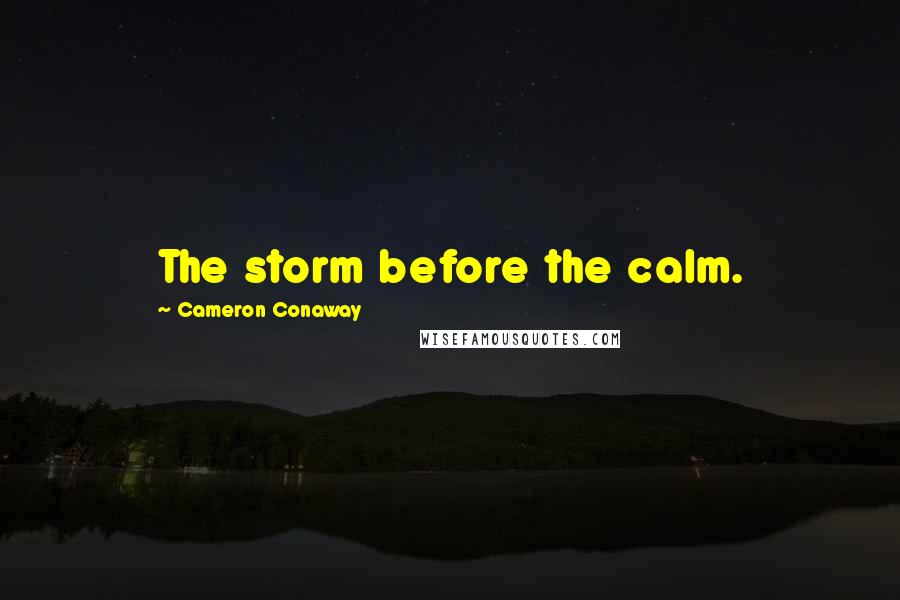 Cameron Conaway Quotes: The storm before the calm.